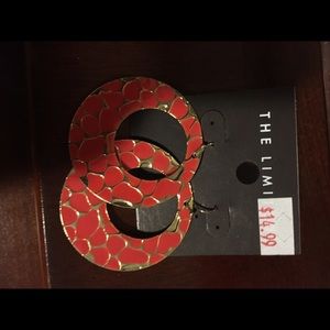 ✌🏽NWT Hoop Earrings